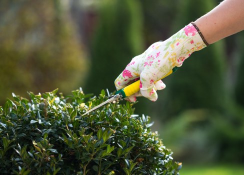 Beautifully mowed Wimbledon lawn with lush green grass