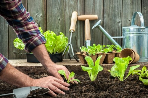 Person using a screen reader while viewing garden services content