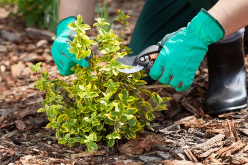 Eco-friendly pest and weed control methods in Wimbledon garden