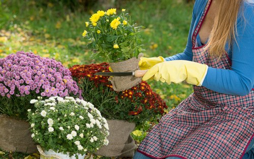 Seasonal garden maintenance activities in Wimbledon
