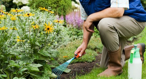 Gardener trimming a large hedge