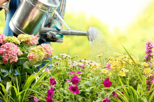 Tools required for hedge trimming