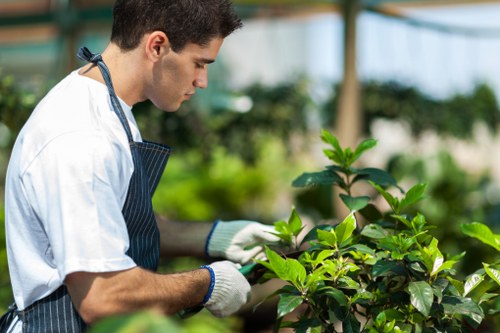 Sustainable gardening practices at Gardeners Wimbledon