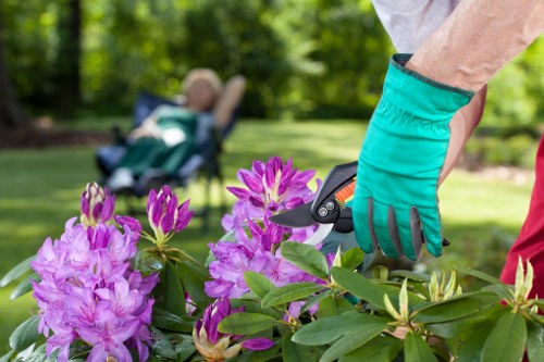 Eco-friendly lawn mowing techniques in Wimbledon