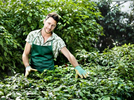 Gardeners Wimbledon team at work