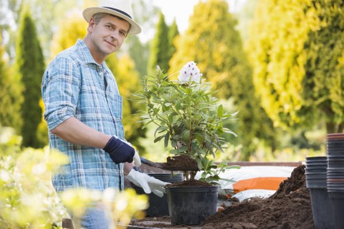 Various types of lawn mowers for Wimbledon homeowners