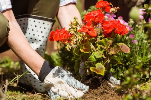 Diverse plant selection in a Wimbledon garden designed for year-round beauty