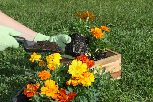 Selection of native plants suitable for Wimbledon climate