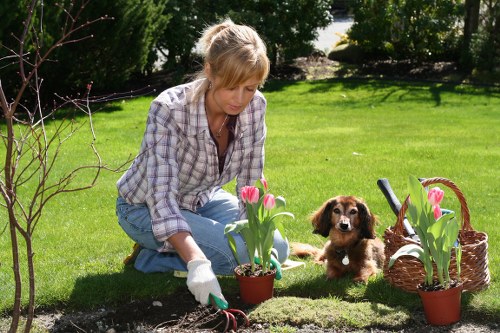 Environmentally sustainable garden clearance practices