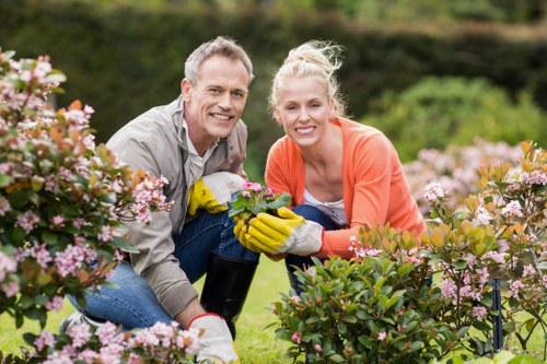 Professional mower servicing a Wimbledon garden